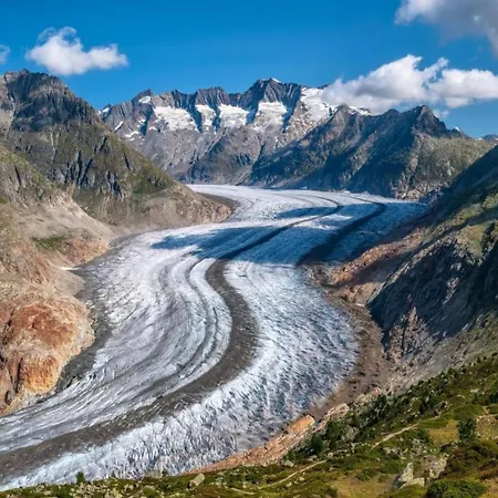 Appartement Brunnquell By Interhome Bettmeralp